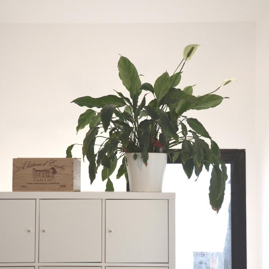 Plaisance Bouguenais - Appartement Nantes - Parking Gratuit Экстерьер фото